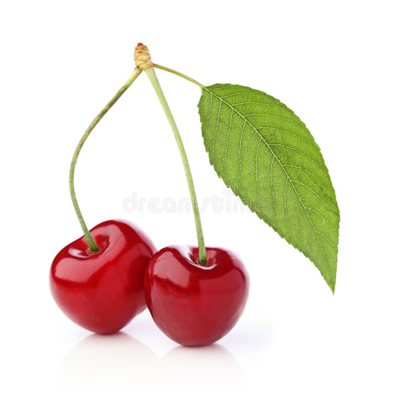 Two cherries with leaf stock photo. Image of healthy 25160572