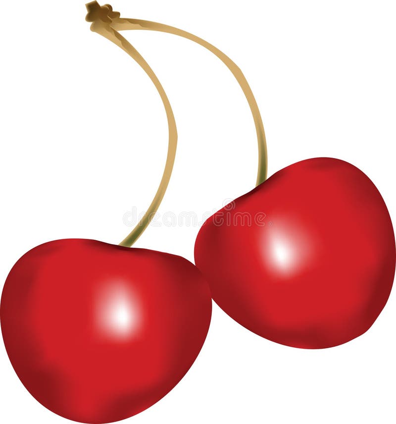 Two Cherries Vector Stock Illustrations 1,788 Two Cherries Vector