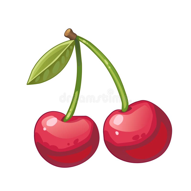 Two cherries stock illustration. Illustration of cherries 56217773