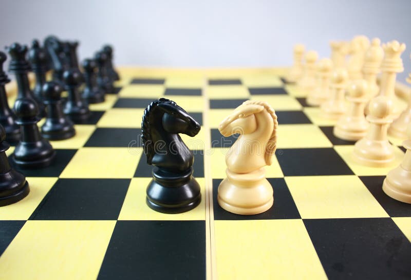 2 коня шахматы. Конь на шахматной доске. Лошадь на шахматной доске. Два коня шахматы. Реальный конь на шахматной доске.