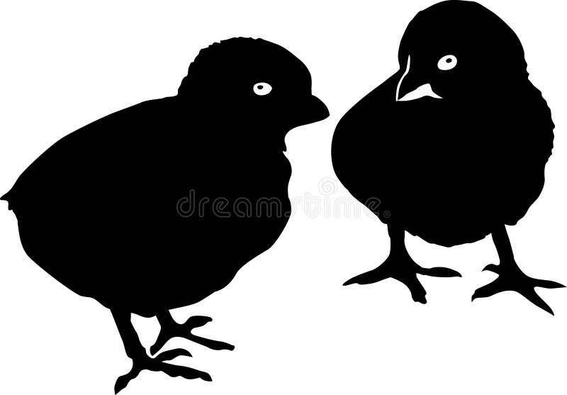 Two chickens silhouettes