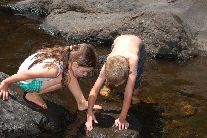 Two children exploring nature in the brook royalty free stock images
