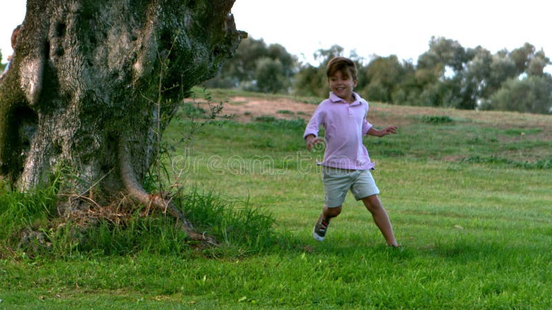 Two children running around a tree playing chasing