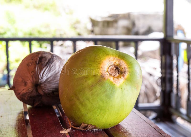 Two Coconuts Green Brown Nut Fruit on the Veranda Bungalow Table Sunny ...