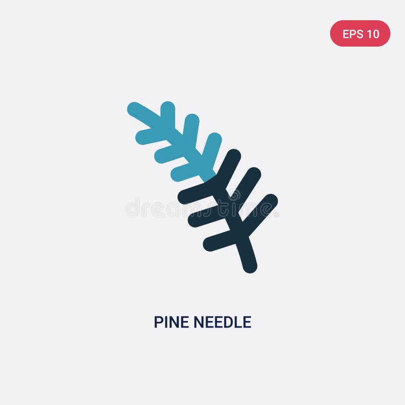 Pine Needles Vector Art, Icons, and Graphics for Free Download
