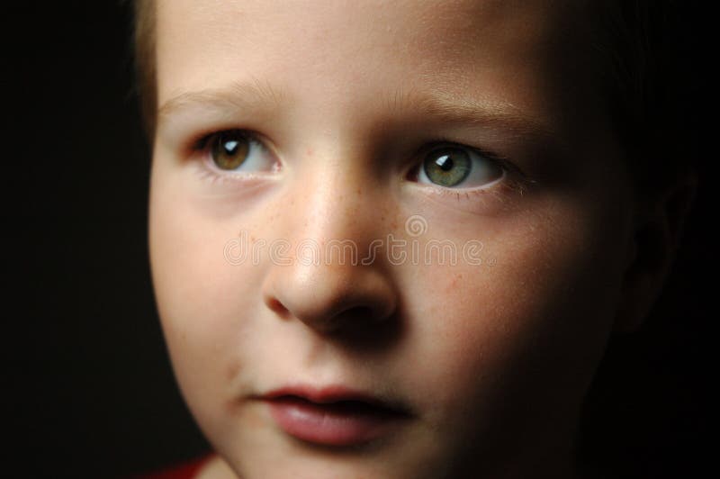 Two Coloured eyes stock image. Image of catchlights, face 42247