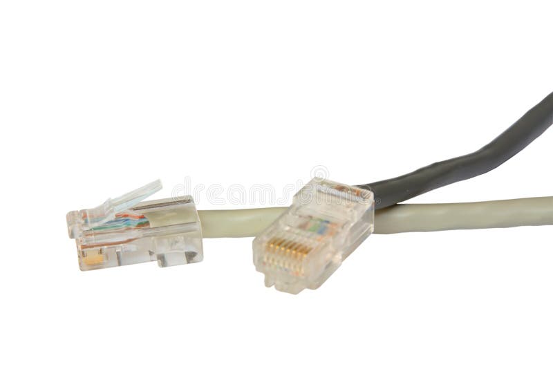 Two Computer Network Cables Stock Photo Image of cord, cat5 11848578