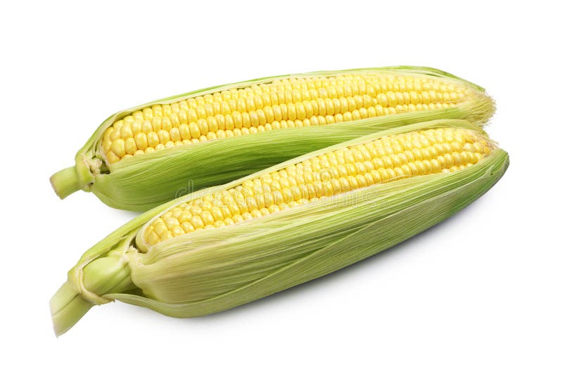 Two corn cob