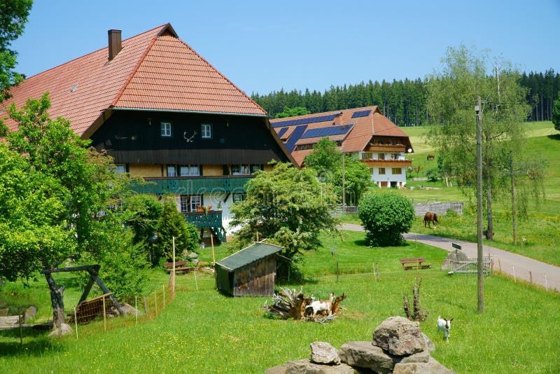black forest houses black forest houses