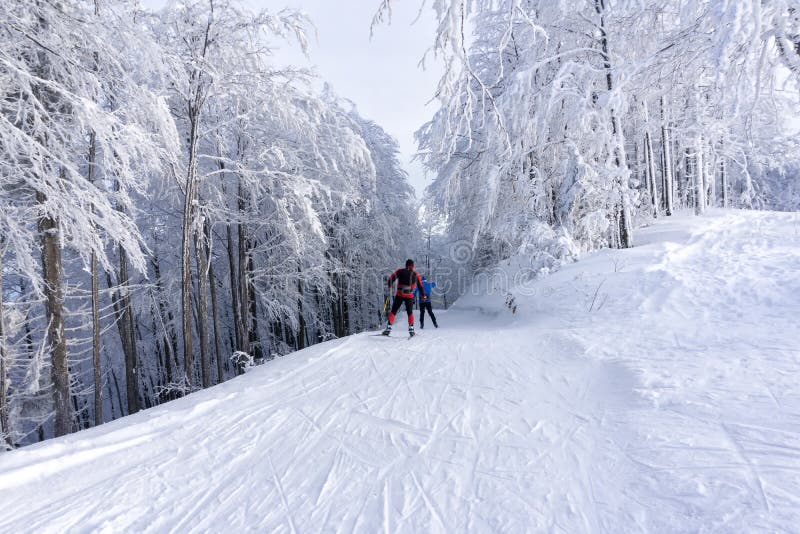 Dvaja bežkári vedú upravenú lyžiarsku trať. Cesta v horách v zimnom dni. Stromy pokryté námrazou.