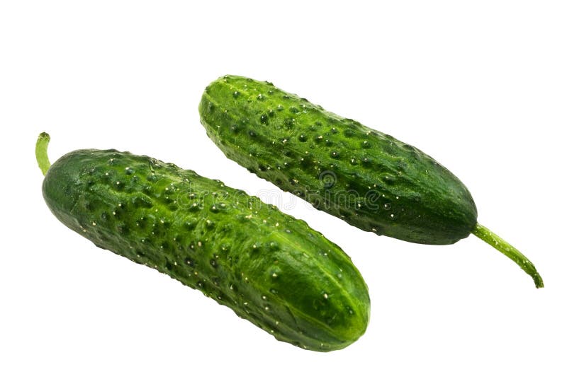 Two cucumbers