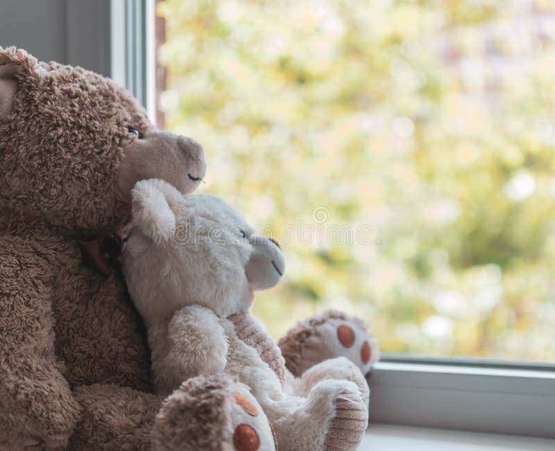 hug teddy bear