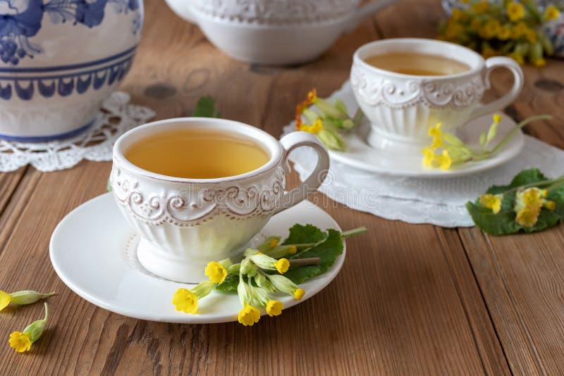 Two cups of herbal tea with wild primula flowers