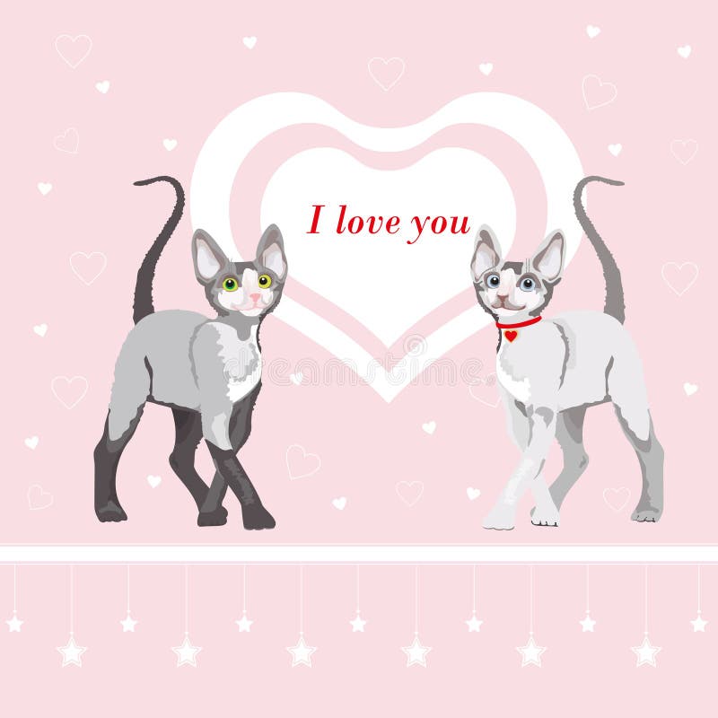Two cute cat: Valentines day illustration