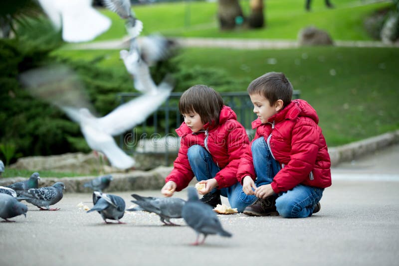 Two Cute Children, Boy Brothers, Feeding Pigeons In The Park Stock