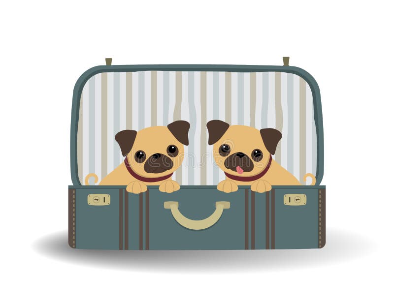 Two cute pug dogs in a suitcase vector illustration Two cute pug dogs in a suitcase vector illustration