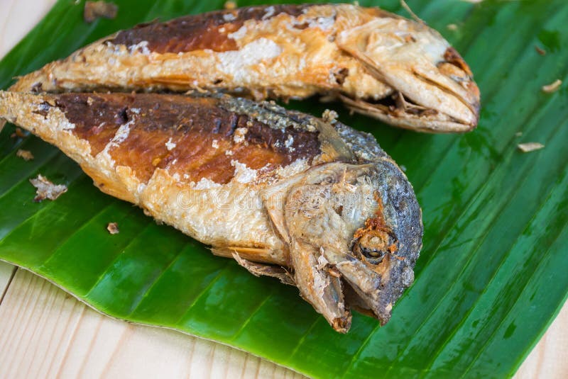 Two deep fried mackerel stock photography
