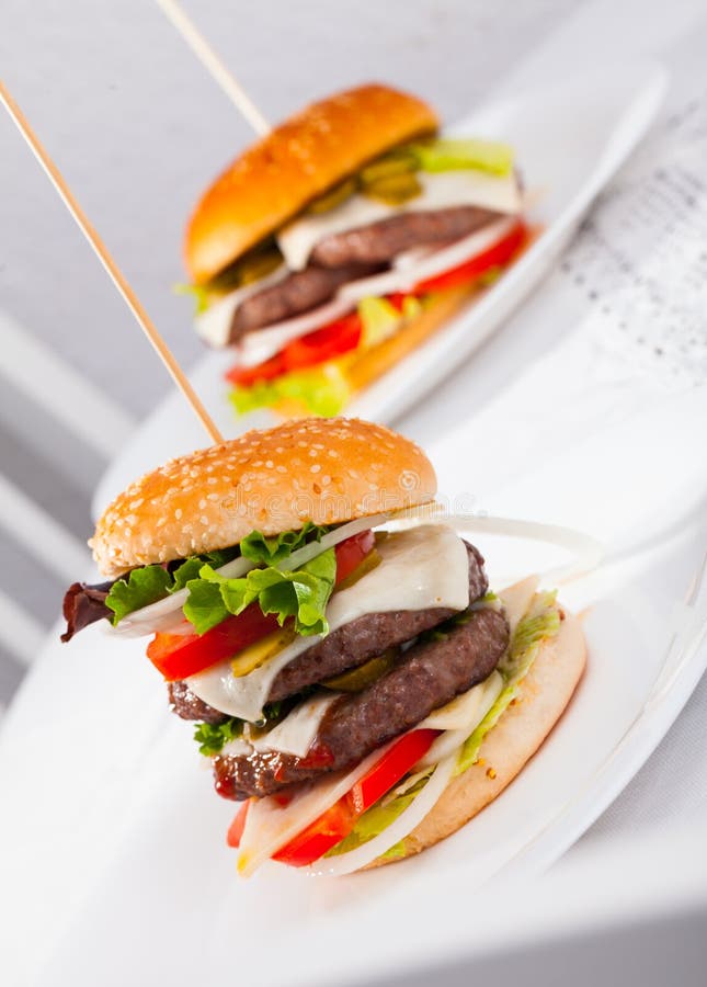 Two Delicious Double Tasty Hamburger with Beef Cutlet and Vegetables