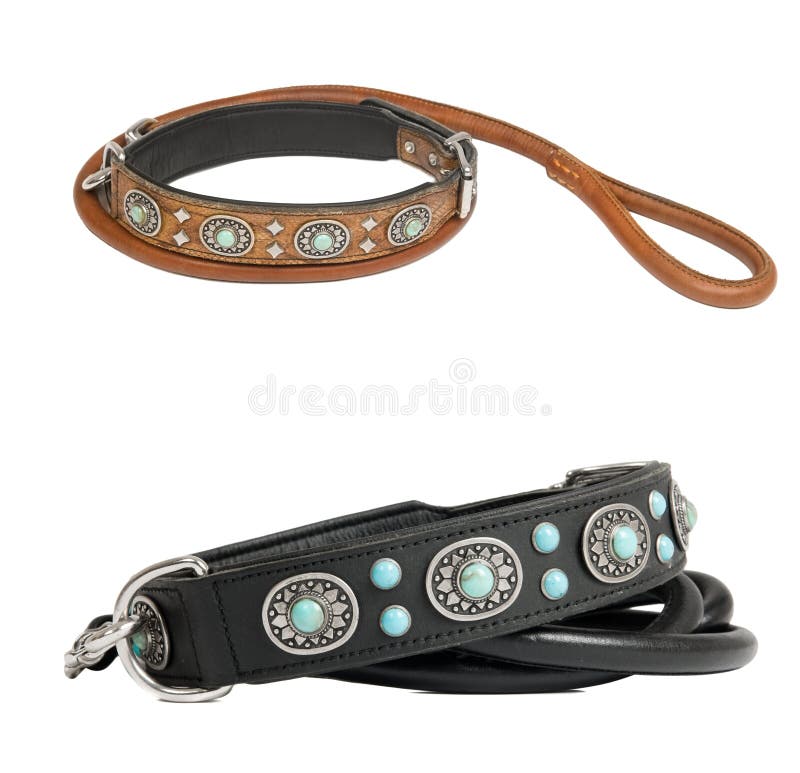 Two dog collar with leash stock image. Image of fashionable 16021219