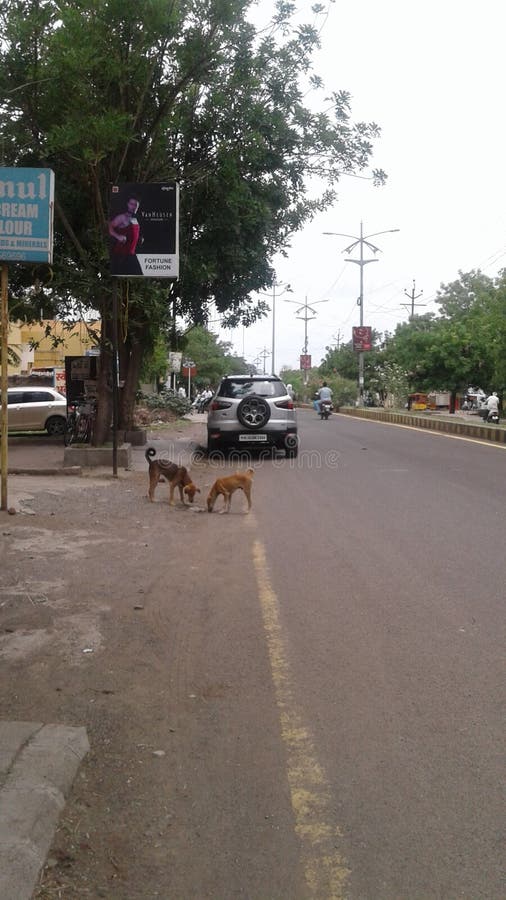 Dog and girl sex in Bekasi