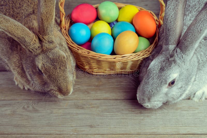 Two Easter bunny stock photo. Image of cute, pair, decoration 37771250