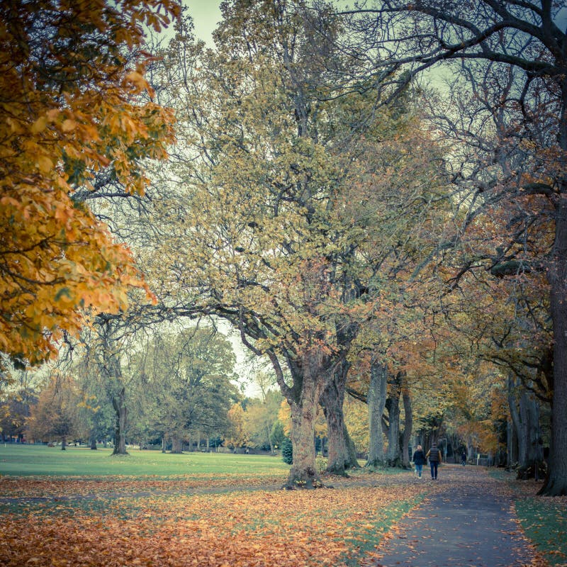 Two Elderly People Walking in a Park in the Sunset Stock Image - Image ...