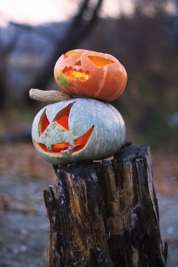 Free Two Evil Halloween Pumpkin On Stub Royalty Free Stock Photo - 16743315