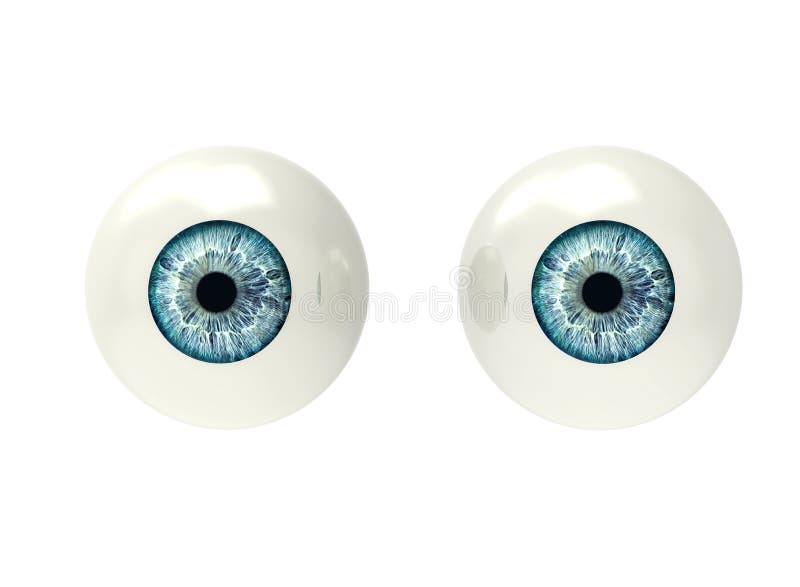 Two eyeballs on white vector illustration