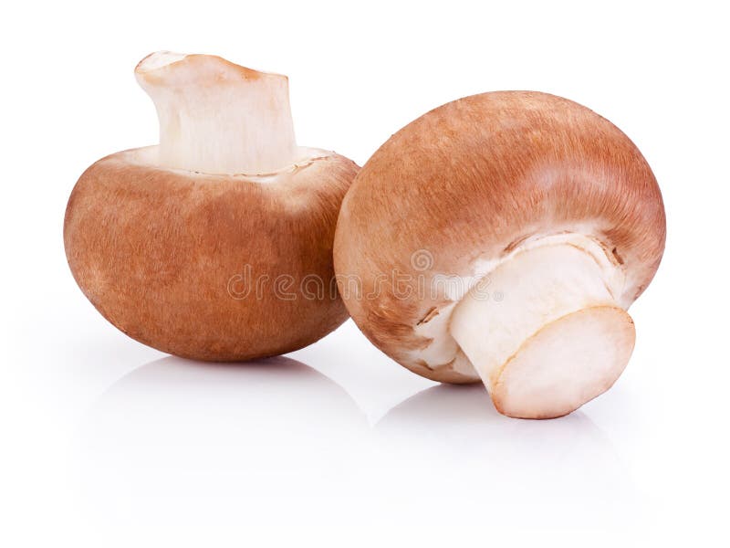 Two field mushroom isolated on white background