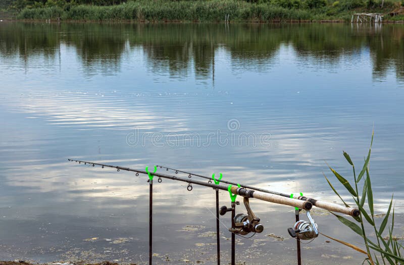 Two Fishing Rods are Held in Fishing Rod Holders. Carp Fishing Rods, Fishing  Lines, Reels. the Concept of Outdoor Activities. Stock Photo - Image of  green, morning: 189035856