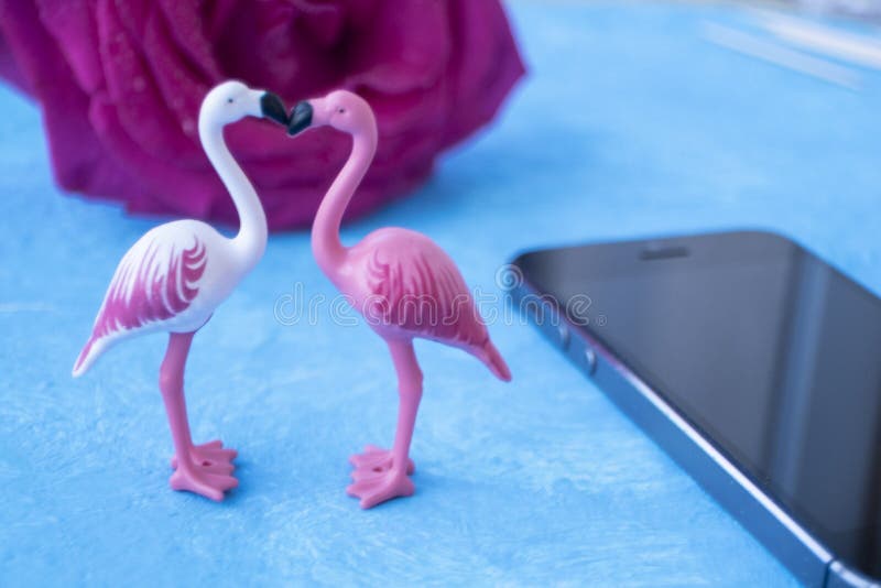 Flamingo dating