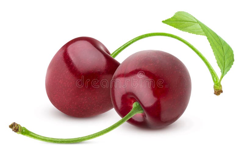 Cherry isolated. Two fresh cherries on white background