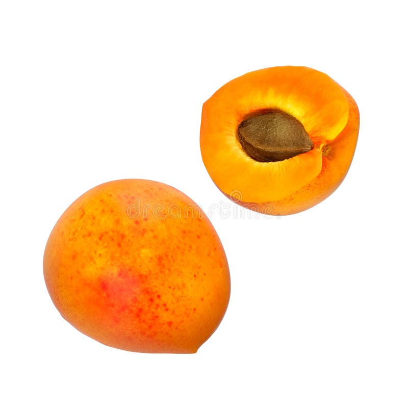 Two Fresh Slices of Apricot Isolated on White. One Slice with Core. 3D Illustration Stock