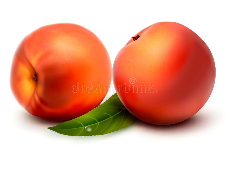 Two fresh sweet peach