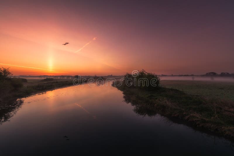 Two geese flying over a misty river Nene at sunrise royalty free stock image Two geese flying over a misty river Nene at sunrise royalty free stock image