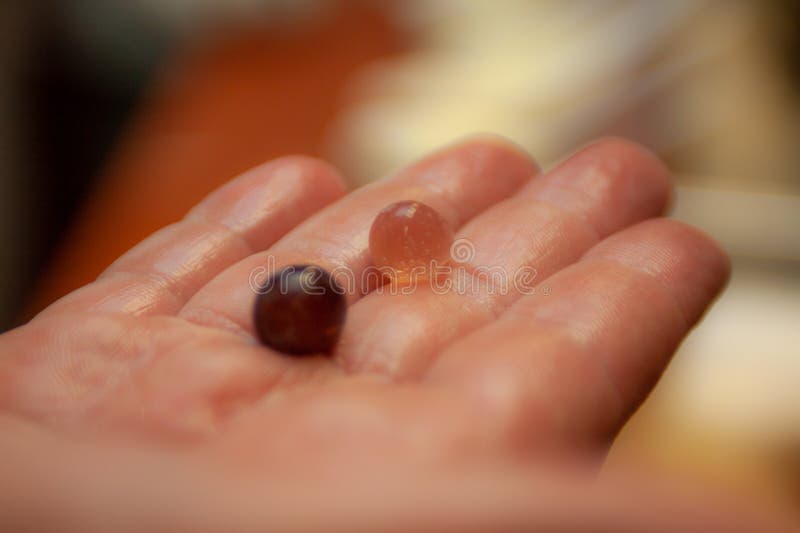 Two gelatin pearls stock image. Image of line, chef 272612817