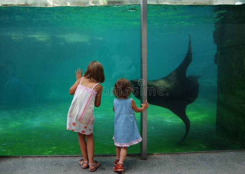 Two girls looking at the aquarium