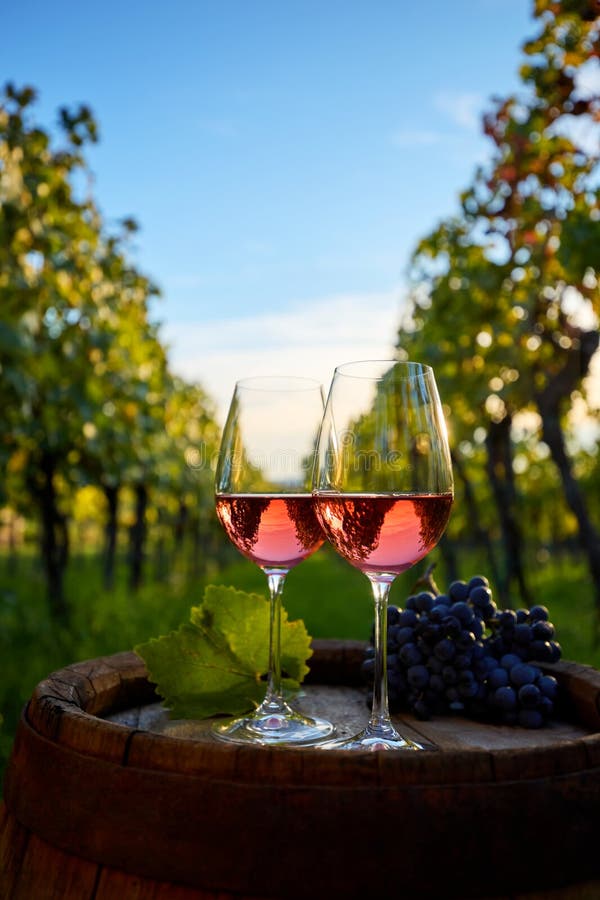 Two glasses of rose wine on an old wooden barrel in a vineyard royalty free stock photo