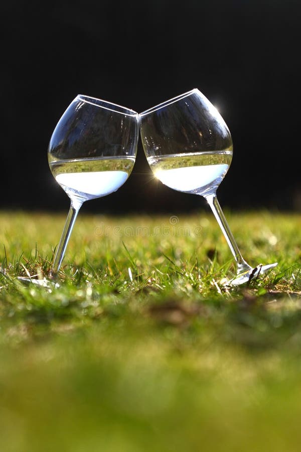 Two glasses of white wine stock photo. Image of ceremony 24362012