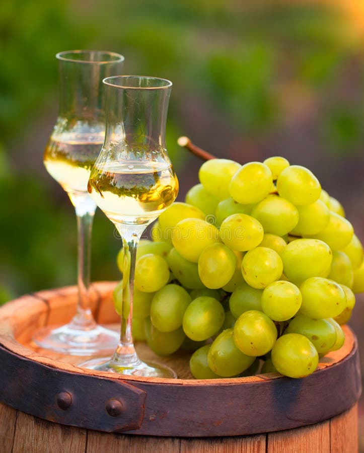 Green Grape and One Glass of White Wine in the Vineyard Stock Photo