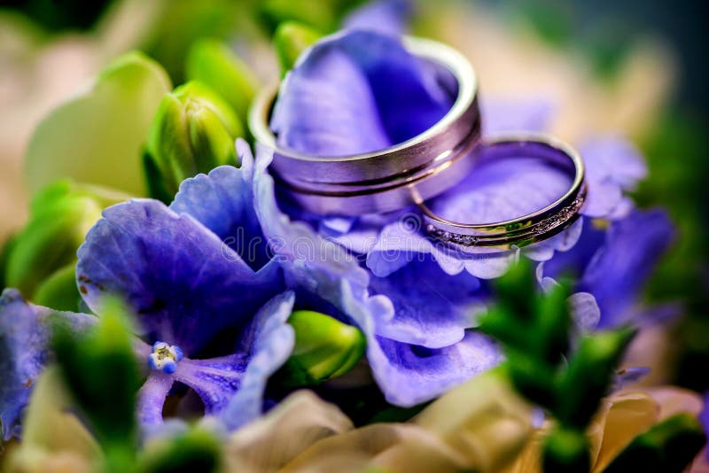 Two Golden Wedding Rings On Background Purple Flowers And