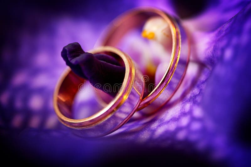 Two Golden Wedding Rings On Purple Background With Light