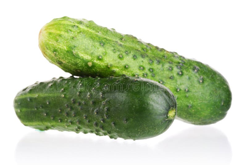 Two green cucumber isolated on white royalty free stock photography