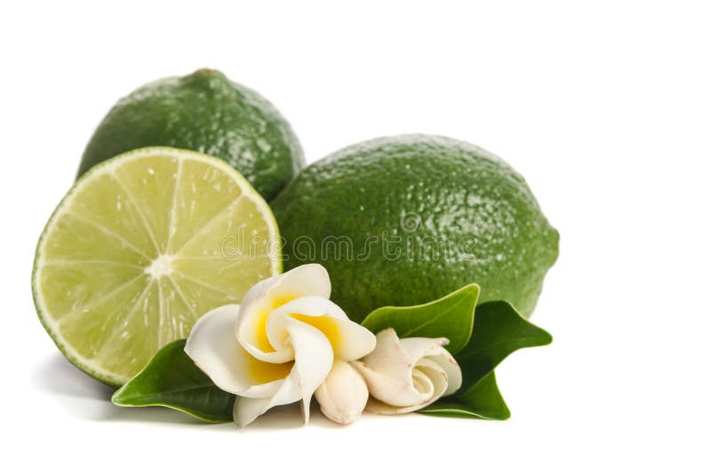 Two green limes with half of juicy lime and beautiful flower stock images Two green limes with half of juicy lime and beautiful flower stock images