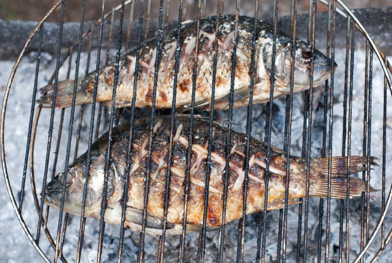 Two grilled European carps on barbecue