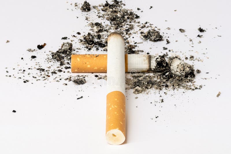 Smoked: Why Joe Camel Is Still Smiling (Males Mike A.)(Paperback) - Literatura Obcojęzyczna - Ceny I Opinie