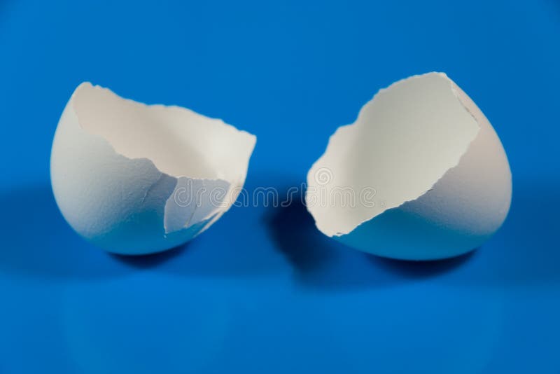 Two halves of broken eggshell