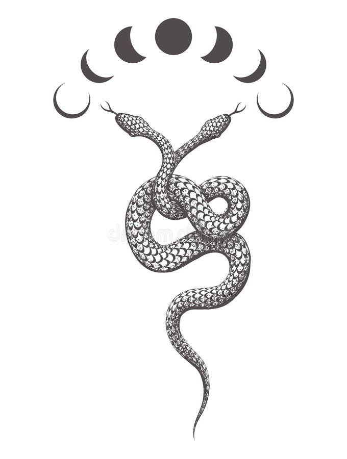 Snake Head stock vector. Illustration of animal, rattlesnake - 57263365