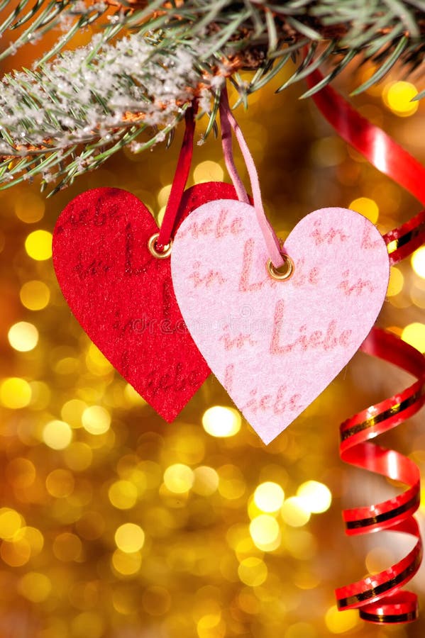 Two Hearts on Christmas Fir Tree Branch Stock Photo Image of bright