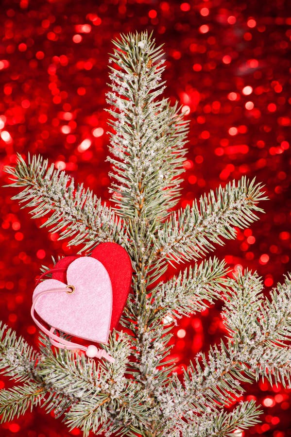 Two Hearts on Christmas Fir Tree Branch Stock Photo Image of decor